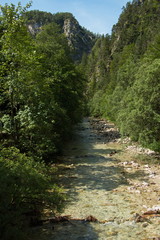 Fototapeta na wymiar The creek Oetscherbach in Oetschergraben near to the Oetscher in Austria, Europe