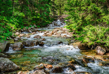 Fast river in the forest in Tatra mountains.