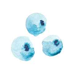 Watercolor Blue Berries Isolated On A White Background Hand Drawn Illustration