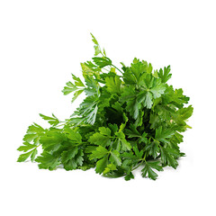 Bunch of parsley isolated on a white background
