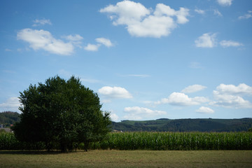 Obraz premium Sauerland