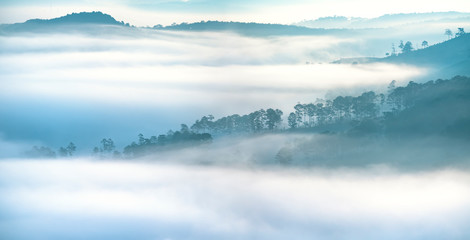 Fototapeta premium Dawn on the plateau pine forests covered with fog shrouded so beautiful idyllic countryside Dalat plateau, Vietnam