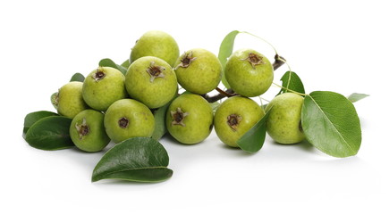 Wild, young green pears with twig and leaves isolated on white background