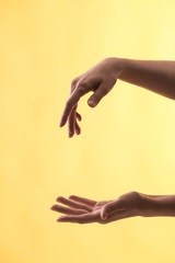 cropped view of woman with gesturing hands on yellow background