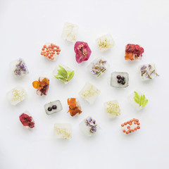 Various plants and berries in ice blocks