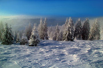 Winter auf dem Feldberg