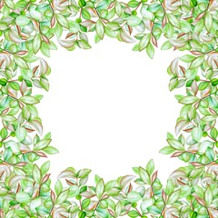 Watercolor frame with green leaves