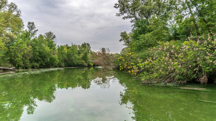 Obraz premium a river landscape. river channels