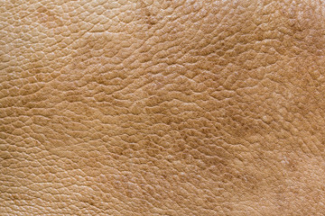 brown leather texture - natural material background