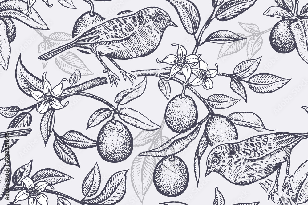 Wall mural bird on a branch of citrus tree. seamless pattern.