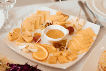 Cheese with mold and honey close-up. Pieces cheese on white plate. Sliced natural cheeses, top view. Assortment of cheese. Composition of different varieties of cheese with honey