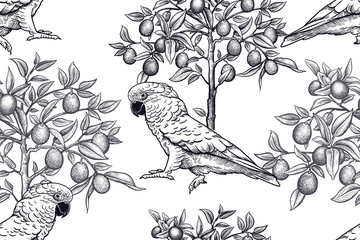 Black trees and parrots on white background. Seamless pattern. © marinavorona