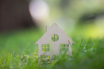 Eco Friendly Concept , Ecology House 