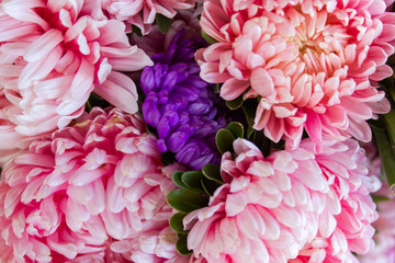 bouquet of pink flowers