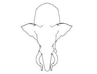 sketch of animal elephant isolated vector