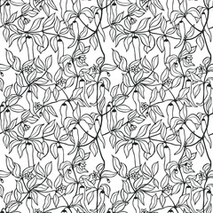 hot chilli pepper seamless pattern. eps10 vector illustration. hand drawing