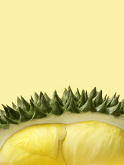 Fresh cut durian on pastel yellow background, king of fruit from Thailand, close up with copy space