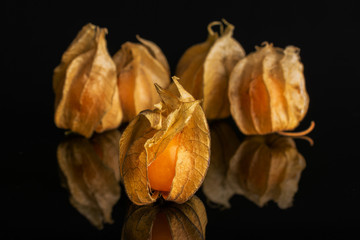 Group of five whole fresh orange physalis isolated on black glass