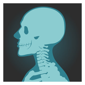 X-ray shot of skull, human body, head and neck bones side view, radiography, vector illustration.