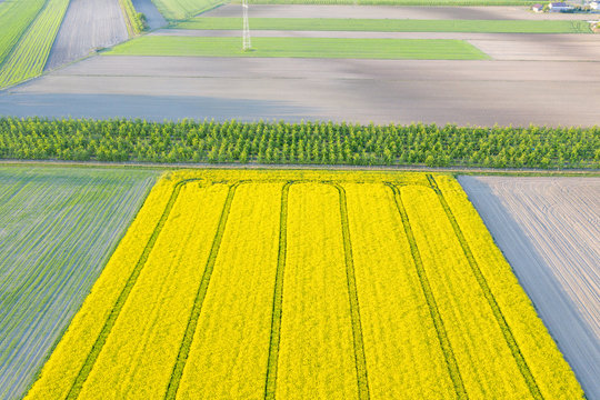 Zborze Bilder Durchsuchen 909 Archivfotos, und Videos