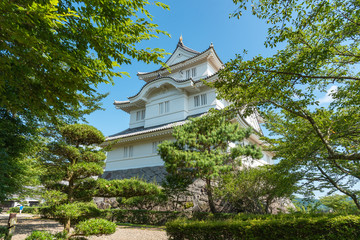 Fototapete bei efototapeten.de bestellen   