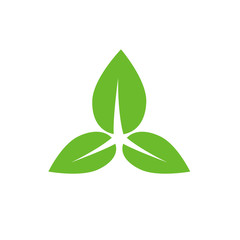 Green leaf icon logo isolated on the white background