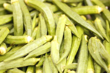 ladyfinger in INDIA is a vegetable is hybrid 