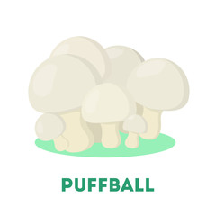 Puffball mushroom