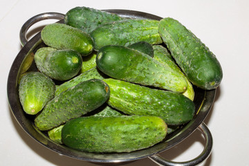 Fresh cucumbers in a steel sieve. Fresh produce from the Farmers Market in early Summer.
