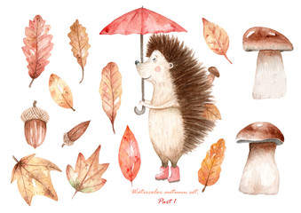 Watercolor autumn set of isolated elements for design with leaves and cute hedgehog