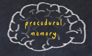 Drawind of human brain on chalkboard with inscription procedural memory