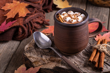 Cup of Hot Chocolate With Marshmallows and Cinnamon
