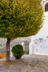 Fototapeta na wymiar traditional white village of Capileira in the Sierra Nevada,Spain