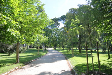El Retiro park garden Madrid Spain