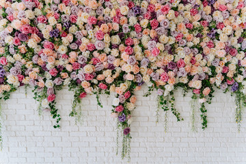 Beautiful Decorative Colorful Roses on Brick Wall. Wedding Party Decor Detail. Delicate Clambering Plant Blossom Pastel Flower on White Background. Elegant Arrangement Floristics Setting - Powered by Adobe