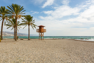 empty sandy beach in winter with palm tree and life guard stand in winter