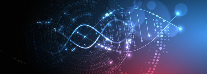 Science template, wallpaper or banner with a DNA molecules. Vector illustration.