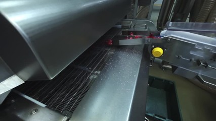 The production of caramel sweets lollipops. Production Line. Making custom made candy, slow motion