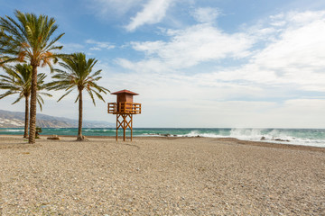 empty sandy beach in winter with palm tree and life guard stand in winter