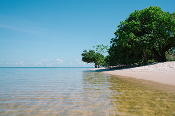 Ponta do Muretá, river beach in Alter do Chão, Brazil