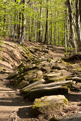 The ruins of the ancient roman road 