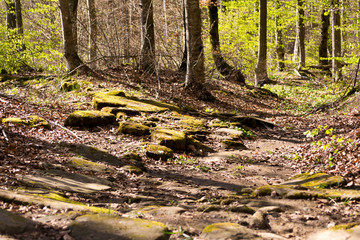 The ruins of the ancient roman road 
