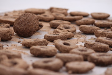  a product of dung in INDIA called badkule and bankule use at the time of HOLIKA  dahan it a treditional festival 