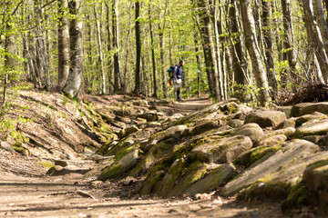 The ruins of the ancient roman road 