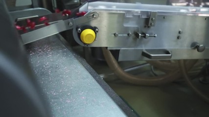 The production of caramel sweets lollipops. Production Line. Making custom made candy, slow motion