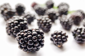 blackberry isolated on white background, clipping path, full depth of field