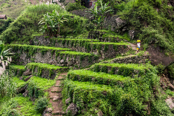 Terrassenfelder, Santo Antao, Kapverden