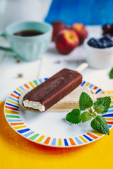 Chocolate popsicle on a stick on a plate