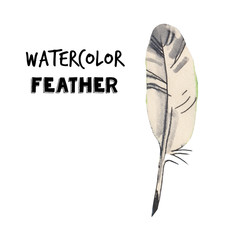 Watercolor feather illustration.Writing tool. Hand drawn illustration.