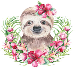 A poster with a baby sloth. Watercolor cartoon sloth tropical animal illustration. Jungle exotic summer print. © kris_art